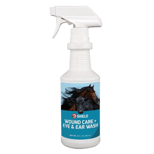 Using Ranch Wound Care+ Eye & Ear Wash in a barn for effective animal wound care and infection prevention