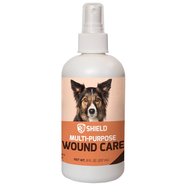 Trust Think's Shield | Wound Care & Infection Prevention Spray